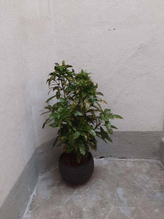 Apartamento Al Crocifisso...Da Nonna Pia Salerno Exterior foto
